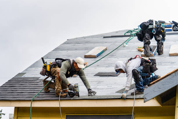 Professional Gutter Installation technician working in Pine Prairie, LA